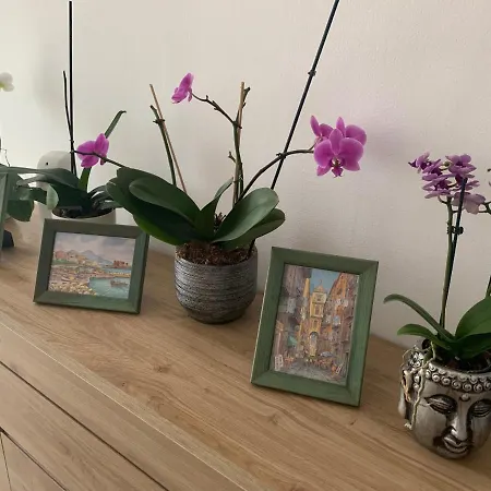 Appartement Al Capitello